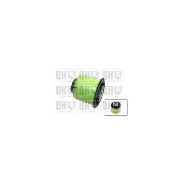 Engine/Transmission Bush/Mount image