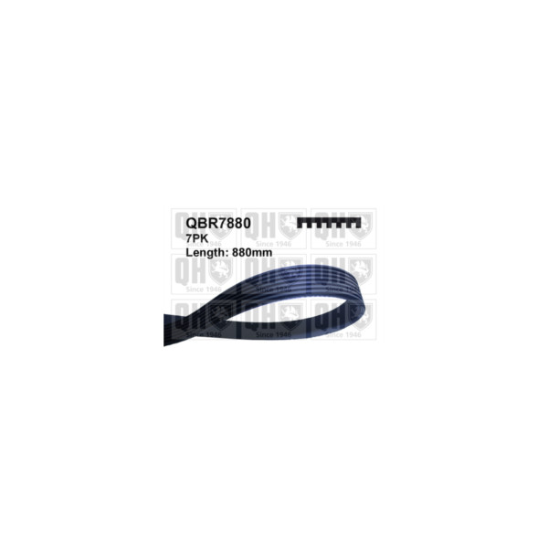 Drive Belt image