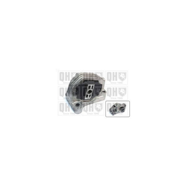 Engine/Transmission Bush/Mount image
