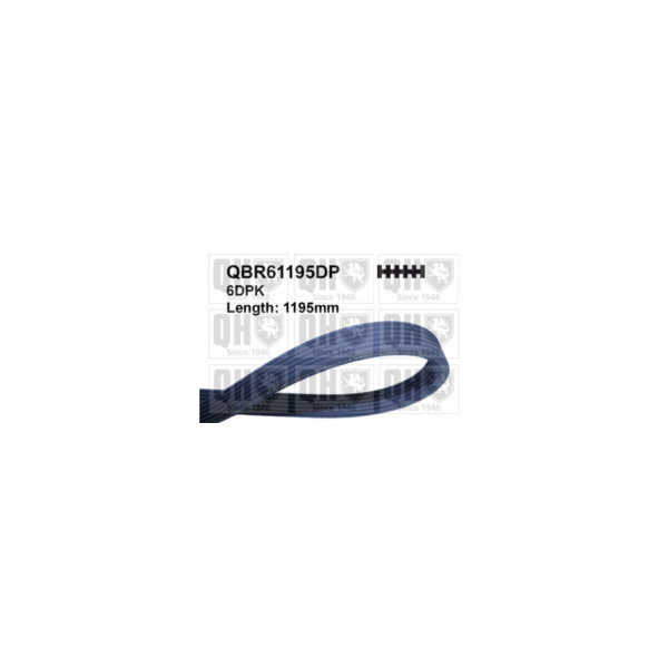 Drive Belt image