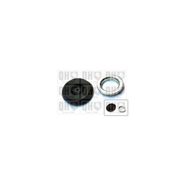 Suspension Strut Repair Kit image