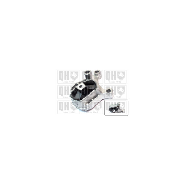 Engine/Transmission Bush/Mount image